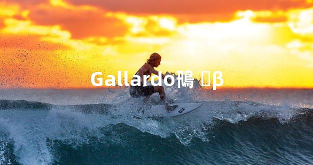 Gallardo鳵 ׷β